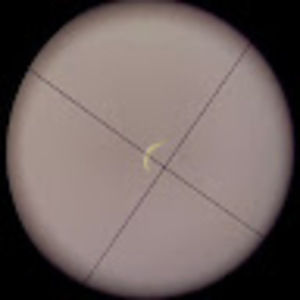 Meet your Posher, Clara